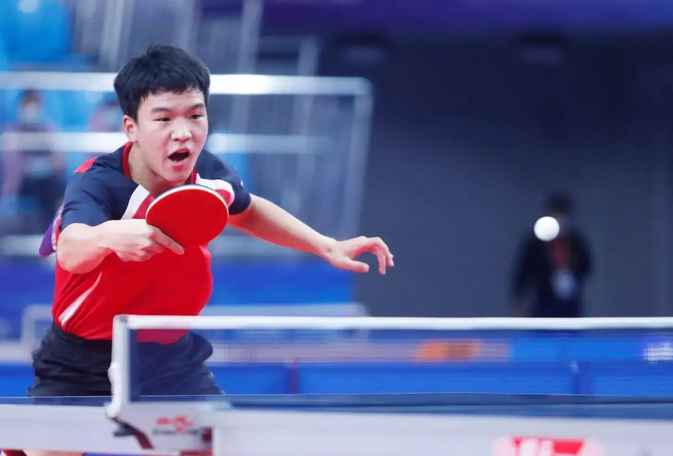 王哲林的智 王哲林的智